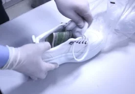 Фото: Давлат божхона қўмитаси Ўзбекистондан ноқонуний