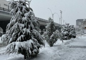 Uzoq davom etgan anomal sovuq O‘zbekistondan chekinmoqda фото