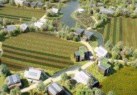 O‘zbekistonda ayrim hududlarga “ekomahalla”, “ekoqishloq” va “ekoovul” maqomi beriladi фото