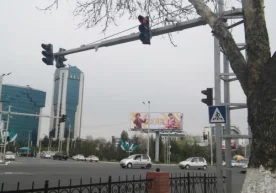 Тошкент шаҳрининг иккита чорраҳасида хавфсизлик камарини