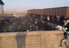 Сурхондарё вилоятининг Бойсун туманида куз-қиш мавсуми