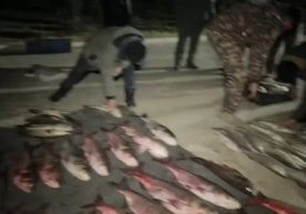 Навоий вилоятидаги Тудакўл кўлида бракoнерлар табиатга 680