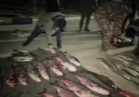 Навоий вилоятидаги Тудакўл кўлида бракoнерлар табиатга 680