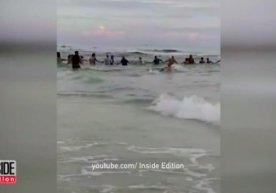 Florida plyajida cho‘kayotgan oilani qutqarish uchun 80 kishi "tirik zanjir" hosil qildi (Video) фото