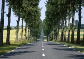 Президентнинг 11.09.2017 йилдаги ПҚ–3262-сон қарори билан