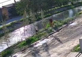 Namangan viloyatida insonparvarlik va jasorat namunasiga