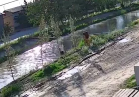 Наманган вилоятида инсонпарварлик ва жасорат намунасига