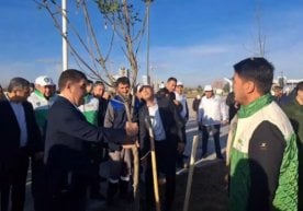 Наманганда ЮНЕСКОнинг 80 йиллигига бағишланган экологик