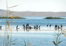 Uzbekistan is a land famous for its ancient culture and