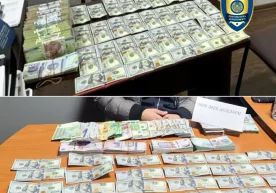 Бош прокуратура ҳузуридаги департаментнинг хабар беришича,
