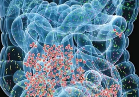 Фото: Getty Images Инсоннинг қарор қабул қилишига сиёсий,