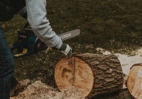 Тошкентнинг Бобур кўчасида дарахт ва буталар кесилиши