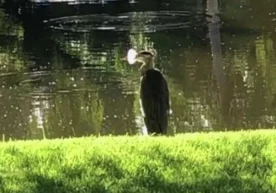 Фото: «РИА Новости» АҚШнинг Флорида штати аҳолиси