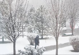 Ўзгидромет 13-16 декабрь кунлари ёғингарчилик ва ҳаво