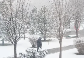 Uzhydromet announced the risk of avalanches in the