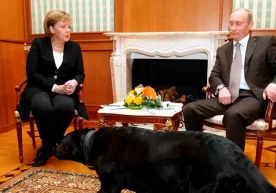 Foto: AP Rossiya prezidenti Vladimir Putin Germaniya sobiq