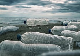 Plastik chiqindilarni «yeydigan» mikroorganizmlar insoniyatga yordamga kelmoqda фото