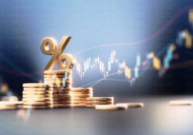 Жорий йилда кичик ва ўрта бизнесни қўллаб-қувватлаш учун