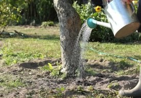 Президент Шавкат Мирзиёев фармонига кўра, Тошкент шаҳрида