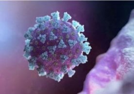 «Agar virus kirib kelmaganida edi…» – Koronavirus orzungizga to‘siq bo‘la oladimi? фото