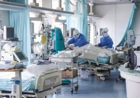 Rasmiy: 19 nafar bemorda pnevmoniya klinik belgilari, 1 nafarining ahvoli o‘ta og‘ir фото