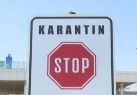 Karantin sharoitida insonning himoya huquqi: Pandemiya odil sudlovga daxl qilmayaptimi? фото