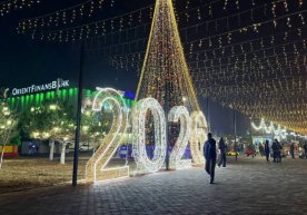 Тошкент шаҳрида Янги йил байрамига бағишланган оммавий