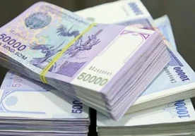 2023/2024 ўқув йили учун йўналишлар кесимида