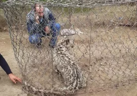 Фото: Sputnik Тожикистоннинг Тоғли-Бадахшон автоном