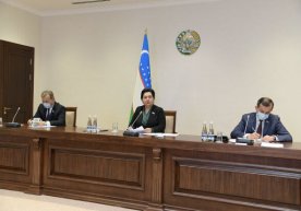 Senat raisi: Karantin davrida boquvchisiz insonlar va qariyalarga moddiy yordam berilishi kerak фото
