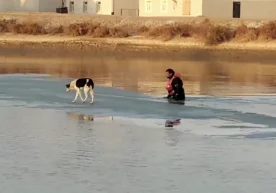 Foto: Videodan kadr Nukus shahrining «Jiydeli-Baysun» MFY