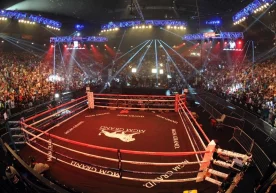 Профессионал бокснинг биринчи ярим енгил вазн тоифасида