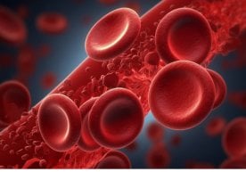 Gemoglobin — qonda kislorodni tashuvchi muhim modda