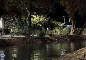 Ўзбекистоннинг йирик шаҳарларида ҳаво сифати табиий