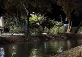 Ўзбекистоннинг йирик шаҳарларида ҳаво сифати табиий