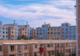 CMWP Uzbekistan ҳисоботига кўра, 2025 йил давомида