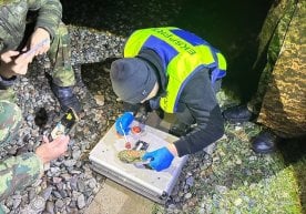 Ўзбекистон божхона ходимлари томонидан мамлакат ҳудудига