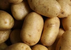 Ўзбекистонда 2025 йил январь-сентябрь ойларида барча