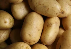 Ўзбекистонда 2025 йил январь-сентябрь ойларида барча