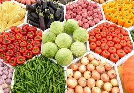 К витамини суяклар шаклланишида иштирок этадиган оқсил