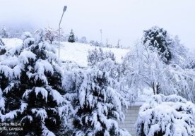 O‘zbekistonning tog‘li hududlarida qor yog‘di (foto) фото