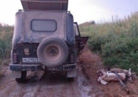 Фото: «ЎзА» Қорақалпоғистоннинг Тахтакўпир тумани ҳудудида