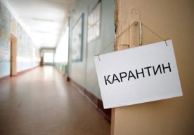 Qashqadaryolik shifokorlarning karantinda to‘y qilgani o‘z isbotini topdi фото