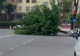 “Gidrometeorologiya xizmati markazi”ning ma’lumotiga