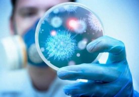 "Koronavirus mutatsiyaga uchrashi natijasida kasallik o‘ta og‘ir kechishi va boshqa a’zolarni ham jarohatlashi mumkin" фото