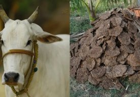 Эрон атрофидаги кескин вазият ортидан юзага келган газ