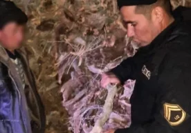 Фото: Миллий гвардия матбуот хизмати Миллий гвардия Бухоро