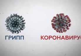 Фото: «Ferra» Энг сўнгги маълумотларга кўра, коронавирус
