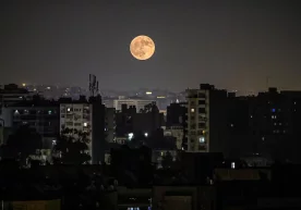 Фото: Ahmed Gomaa/XinHua/Global Look Press Ҳиндистоннинг