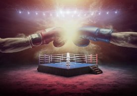 Оғир вазнда IBF, WBA, WBO ва IBO йўналишлари бўйича собиқ